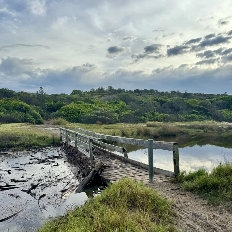 A weathered timber footbridge across the lagoon