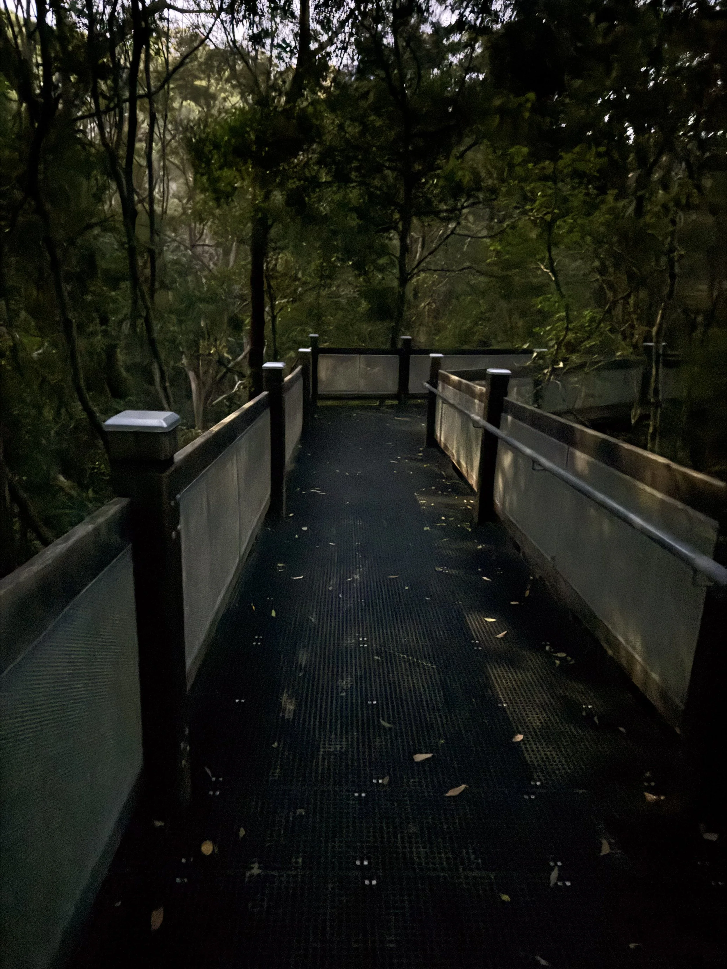Frame 1