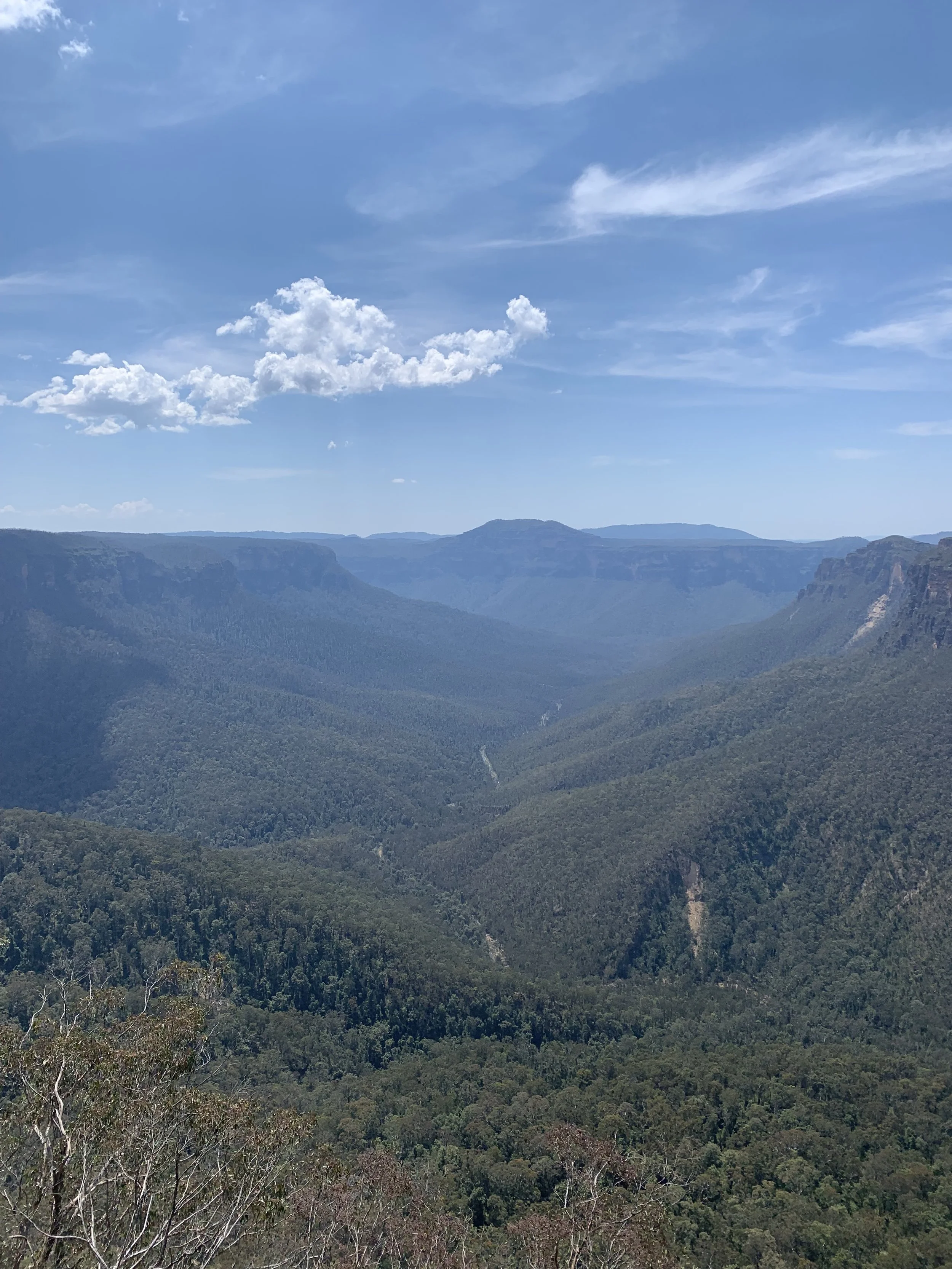 The Grose Valley from Evans Lookout