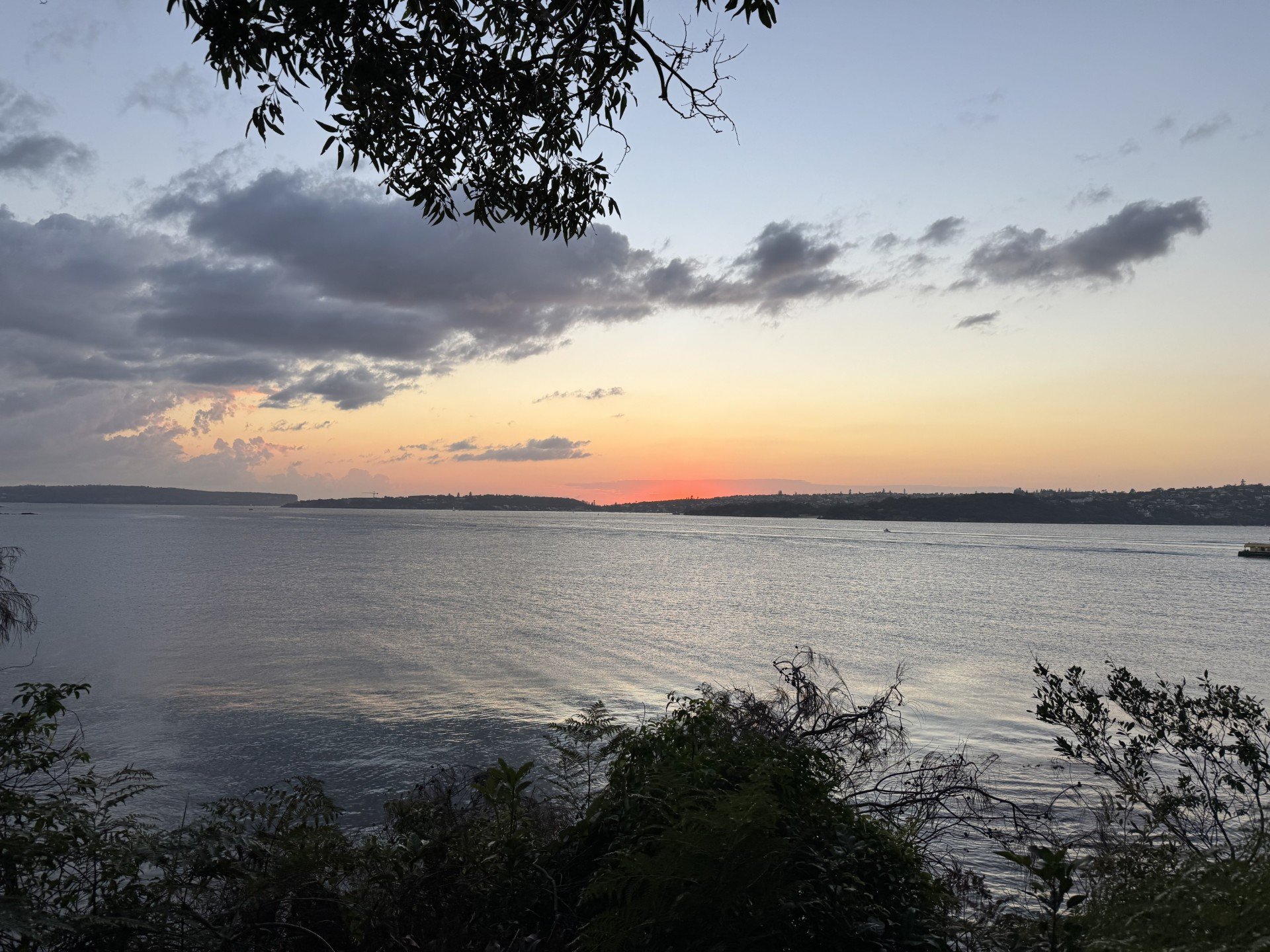 Bradleys Head Loop