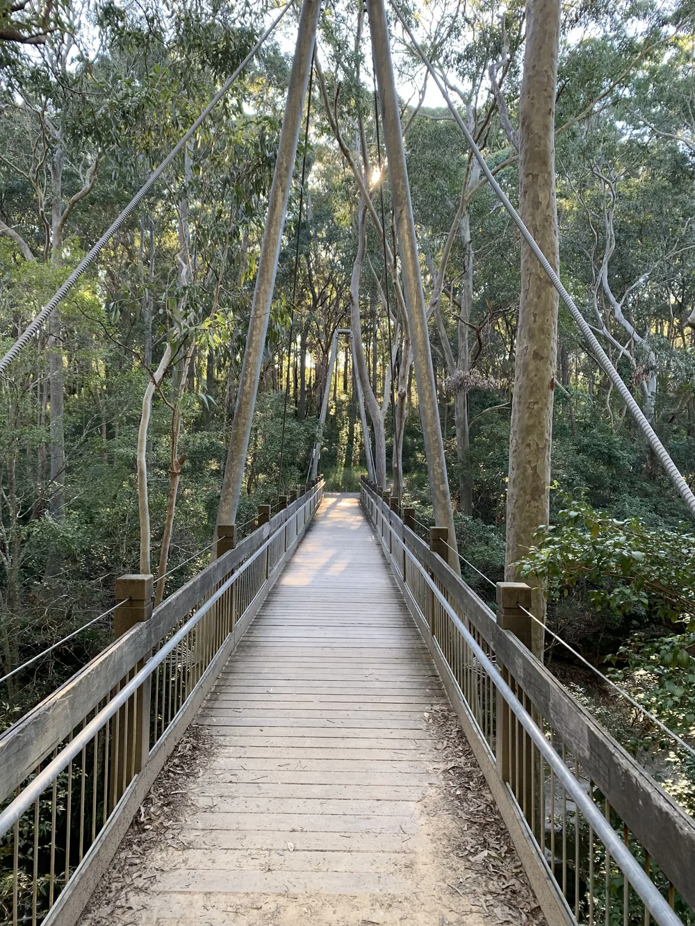 Suspension bridge through the gums