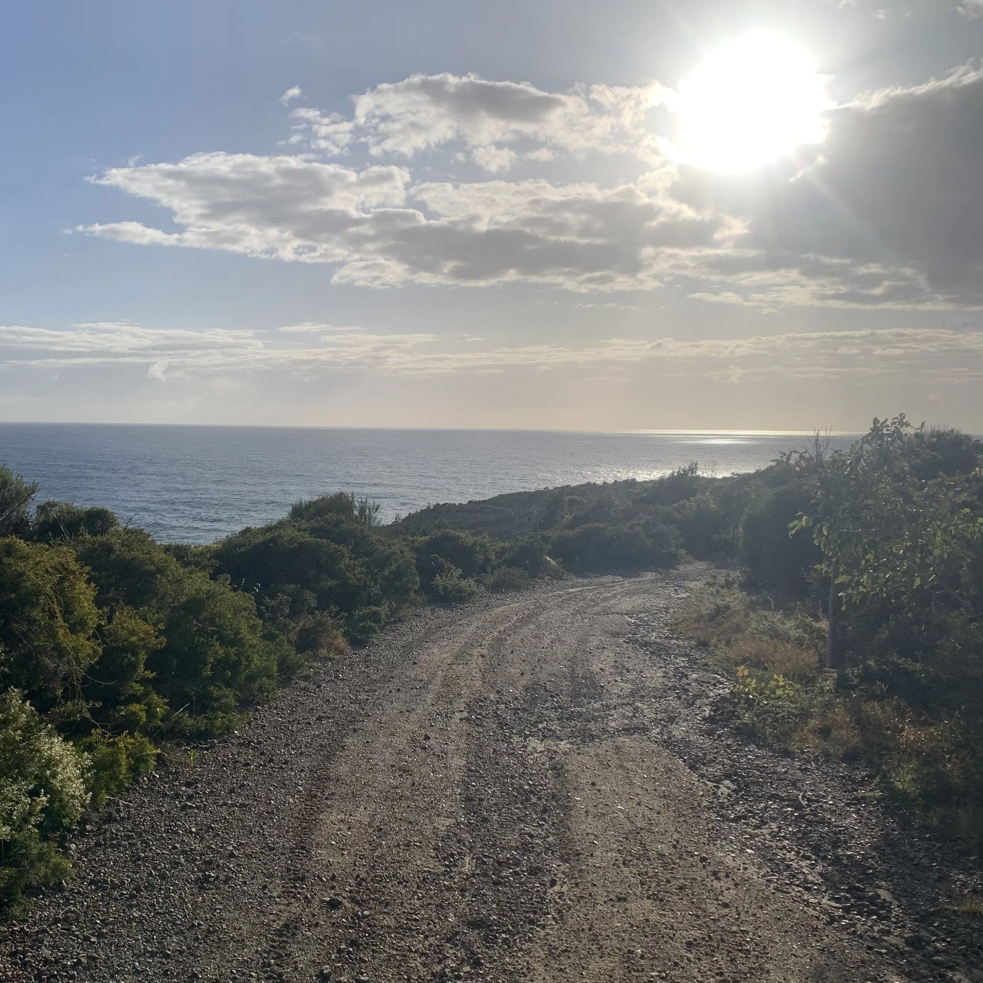 Gravel coast track running down toward the sea at first light