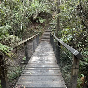 Boardwalk and stone steps on the cliff track