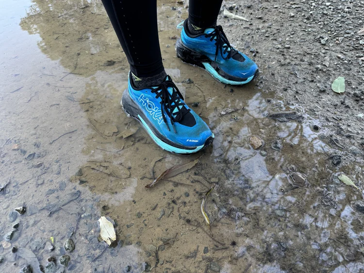 Speed 5 standing in a muddy puddle on the trail
