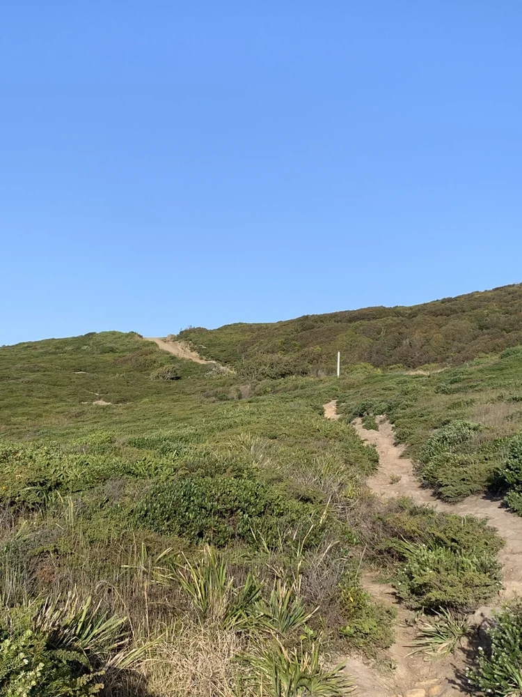 Sandy trail climbing the coastal headland