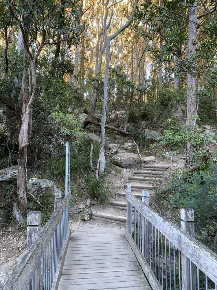 Boardwalk to the stairs