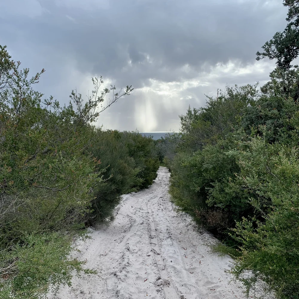 A sandy track through the bush with a rain squall out to sea