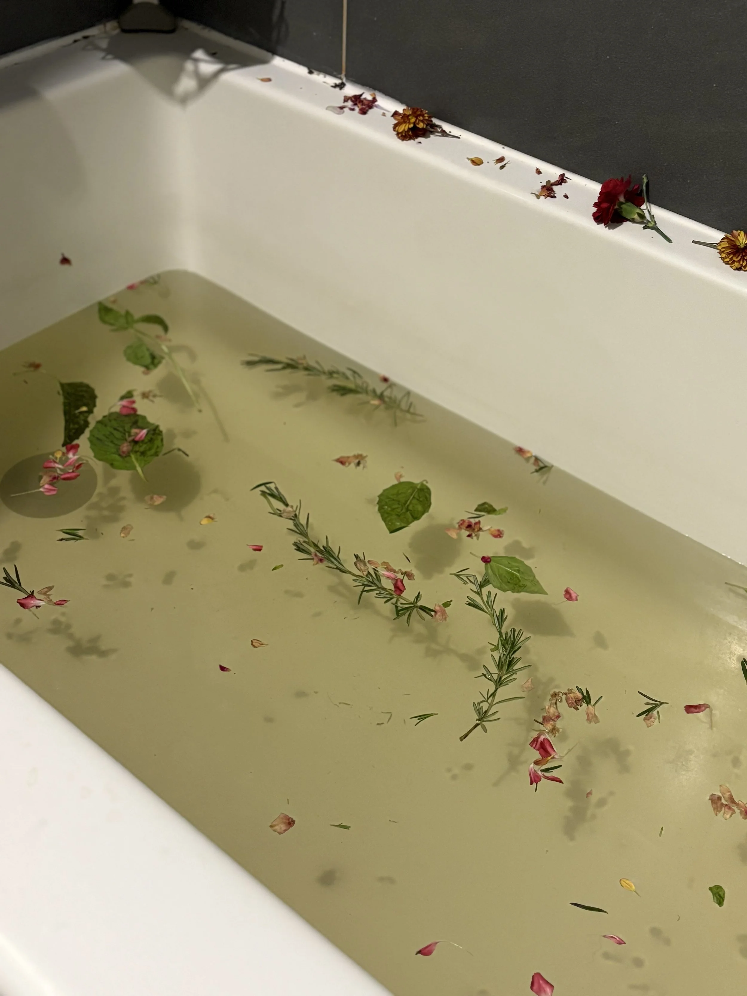 Fallen flower petals and sprigs of herbs floating in a bathtub filled with light-colored water.