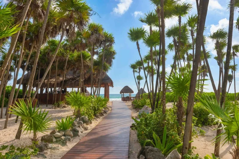 exteriores-valentin-imperial-riviera-maya8894-e626efbc4a94f852dac9c55c125a2d0b.webp