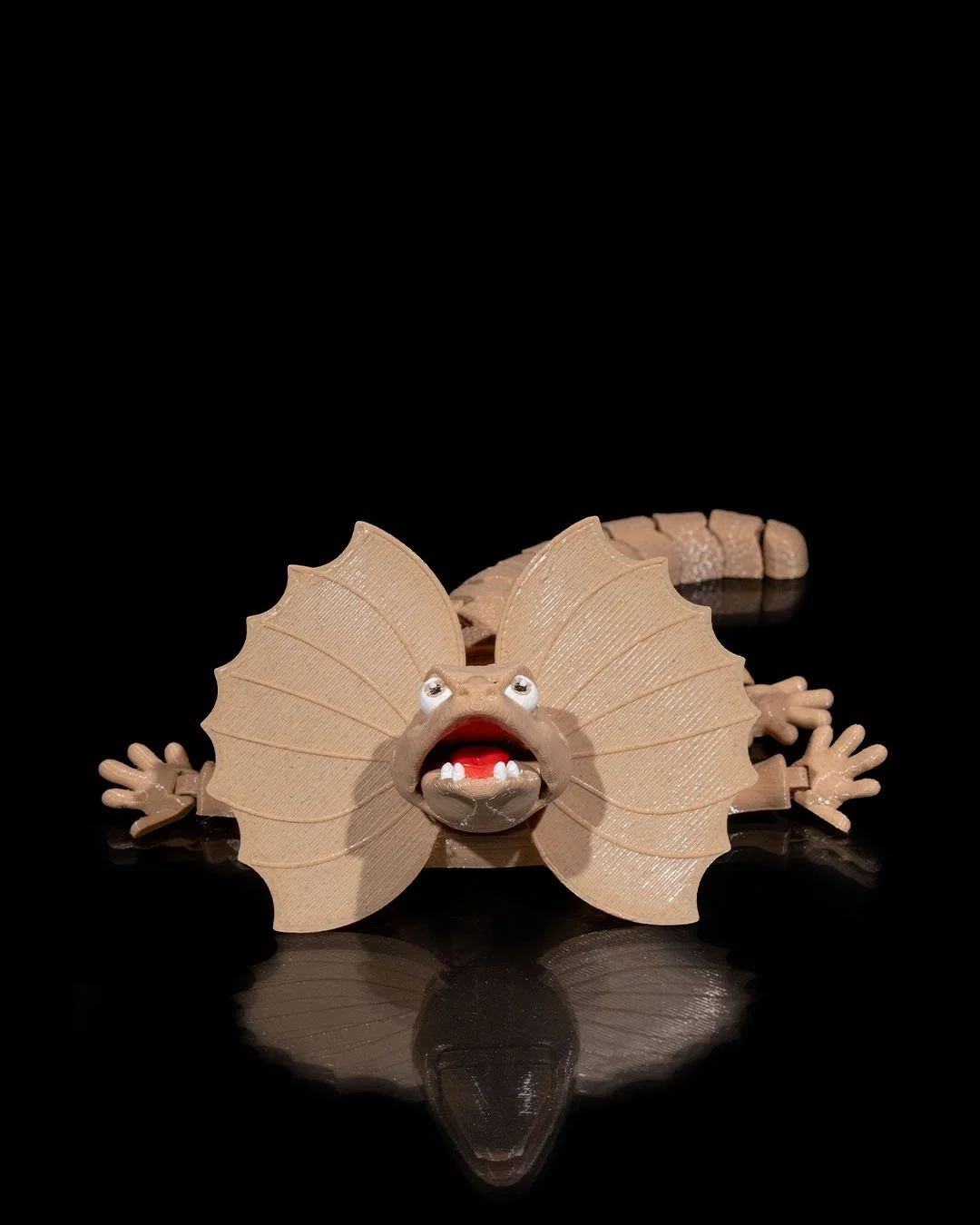 Frilled_Neck_Lizard3_9d550314c1.jpg