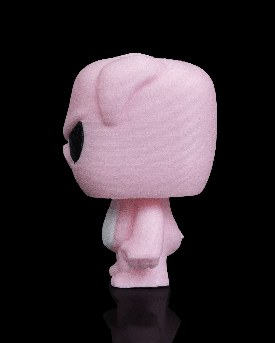 Anty_Pig4_1607352936.png