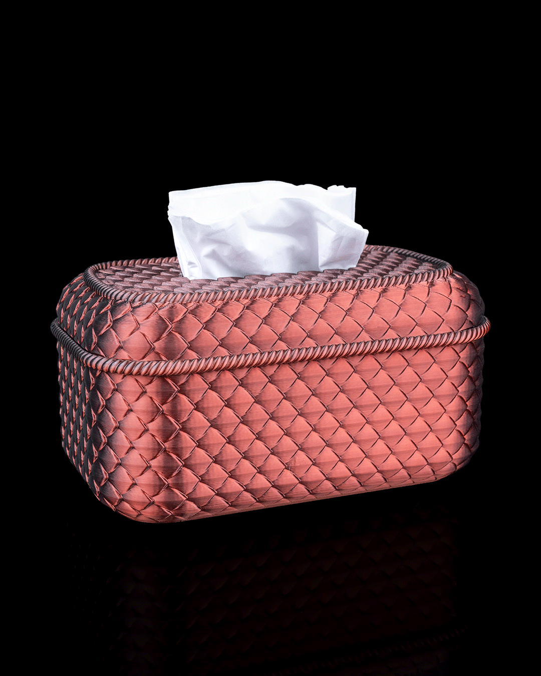 Steamy_Scales_Kit_9_fa6f543198.png