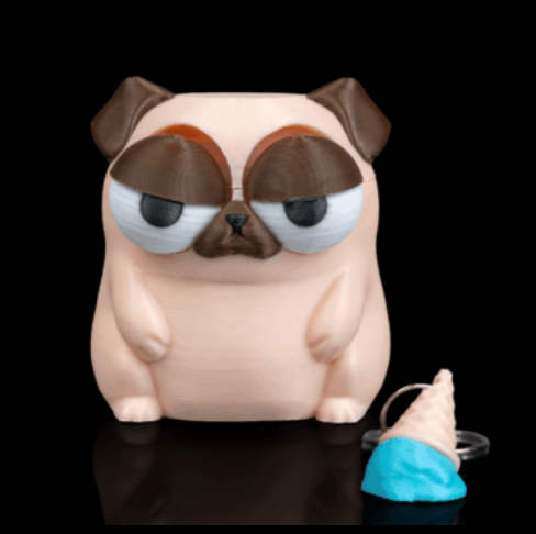 cone-of-shame-2.png