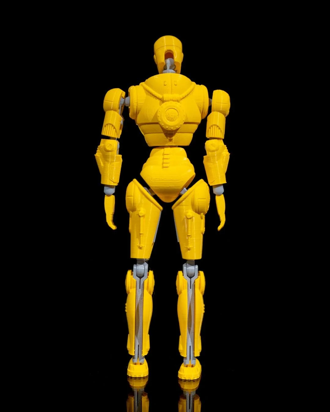 Rad_Free_Dummy_Tall_5_9e8240088f.jpg