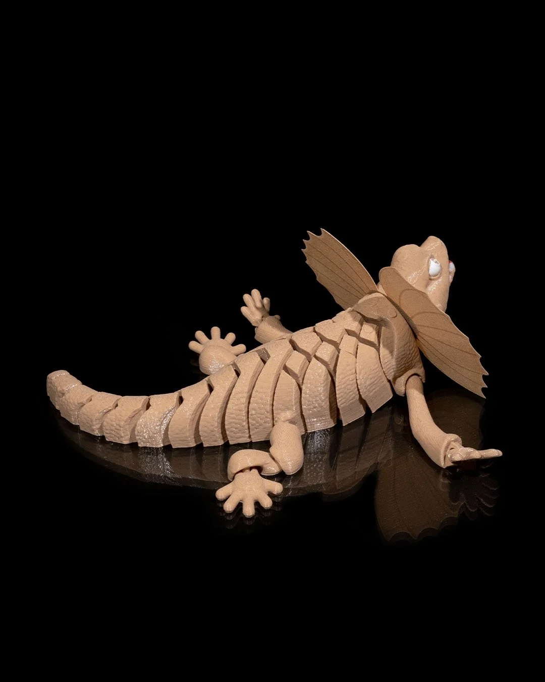 Frilled_Neck_Lizard7_a9b80c447d.jpg