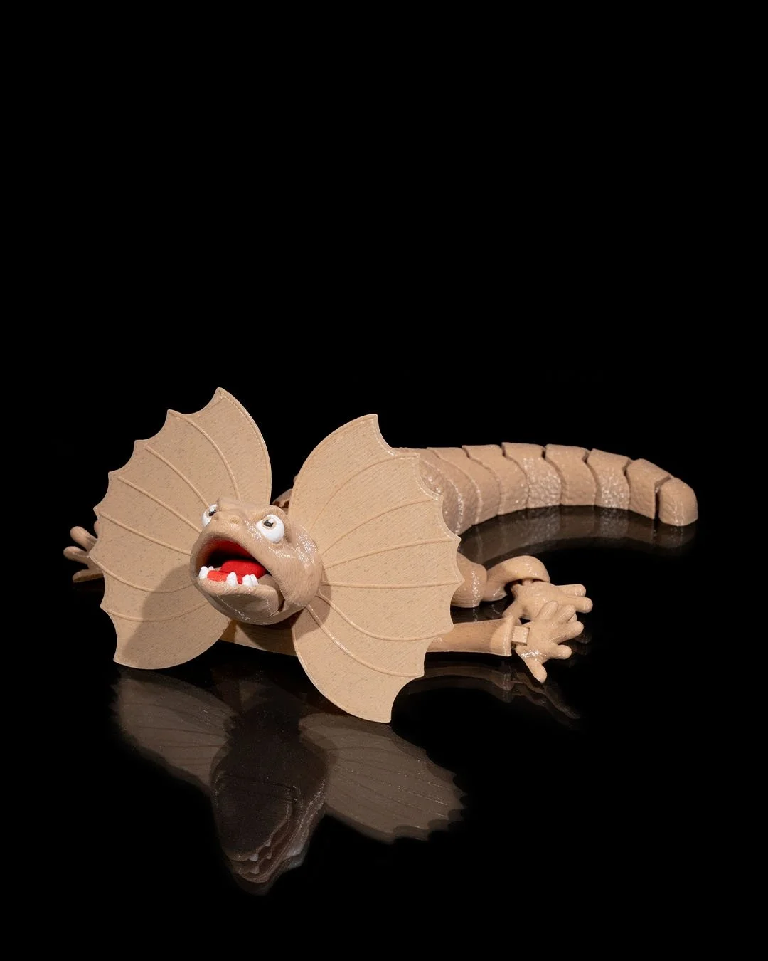 Frilled_Neck_Lizard4_df182c60f8.jpg