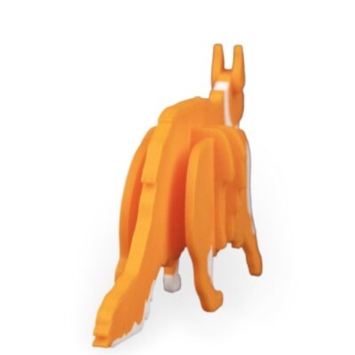 maine-coon-kit-3.png