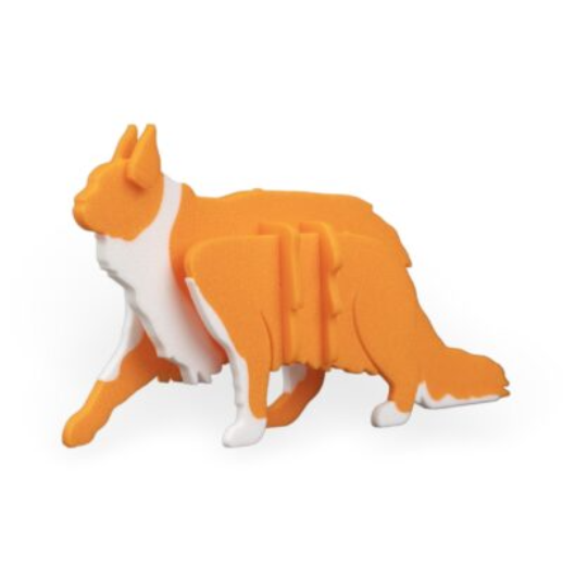 maine-coon-kit-2.png