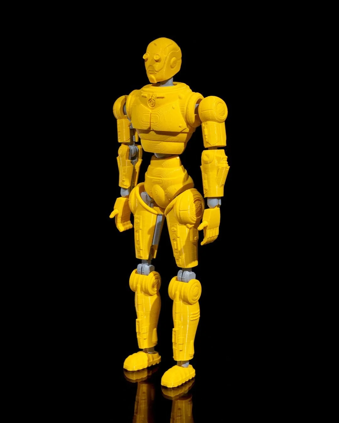 Rad_Free_Dummy_Tall_2_034a4079b8.jpg