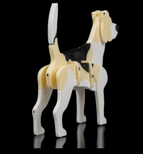 beagle-kit-2.png