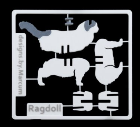 ragdoll-kit-3.png