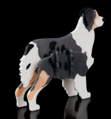 australian-shepard-kit-2.png
