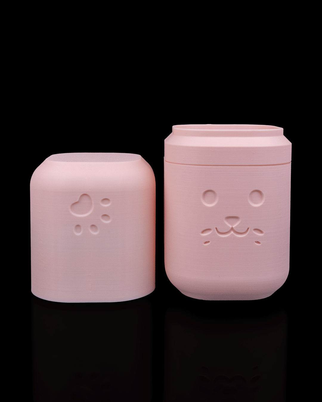Clean_Kitty_Kit_9_bdf5cf65b8.png