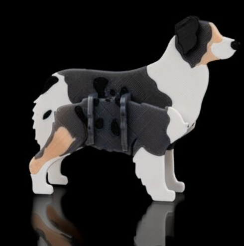 australian-shepard-kit.png