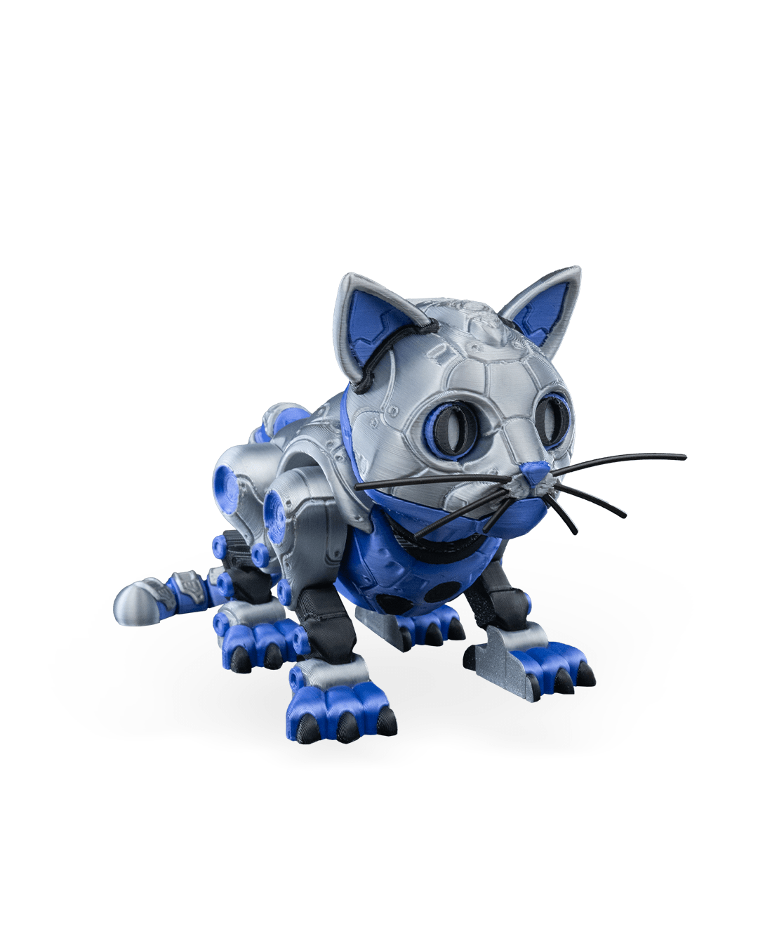 CATBOT_WB_1_01d2df56ad.png