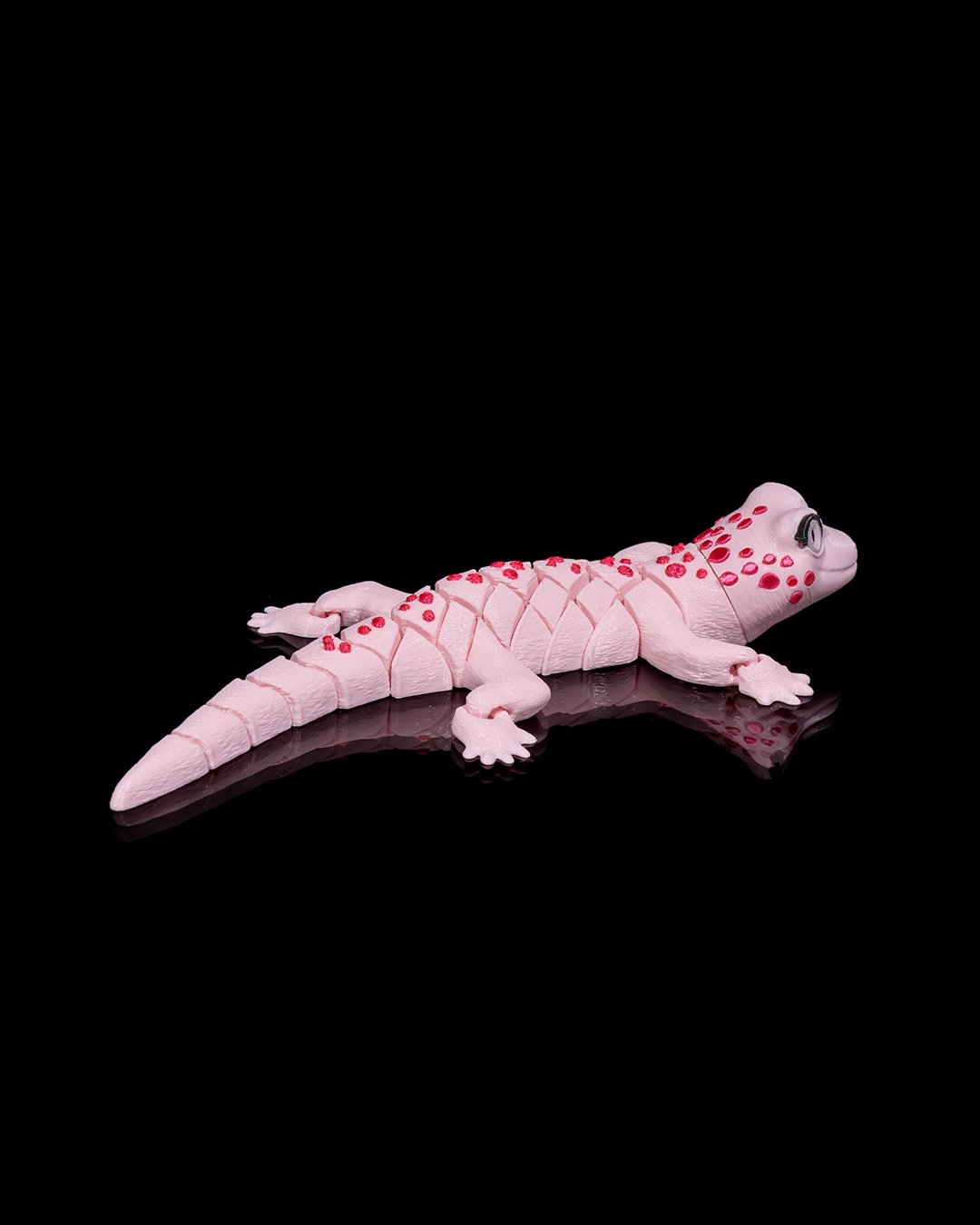 Gecko8_1e408efbbe.jpg