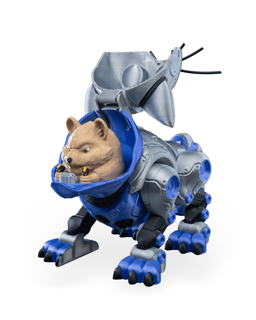 CATBOT_WB_4_e95716f233.png
