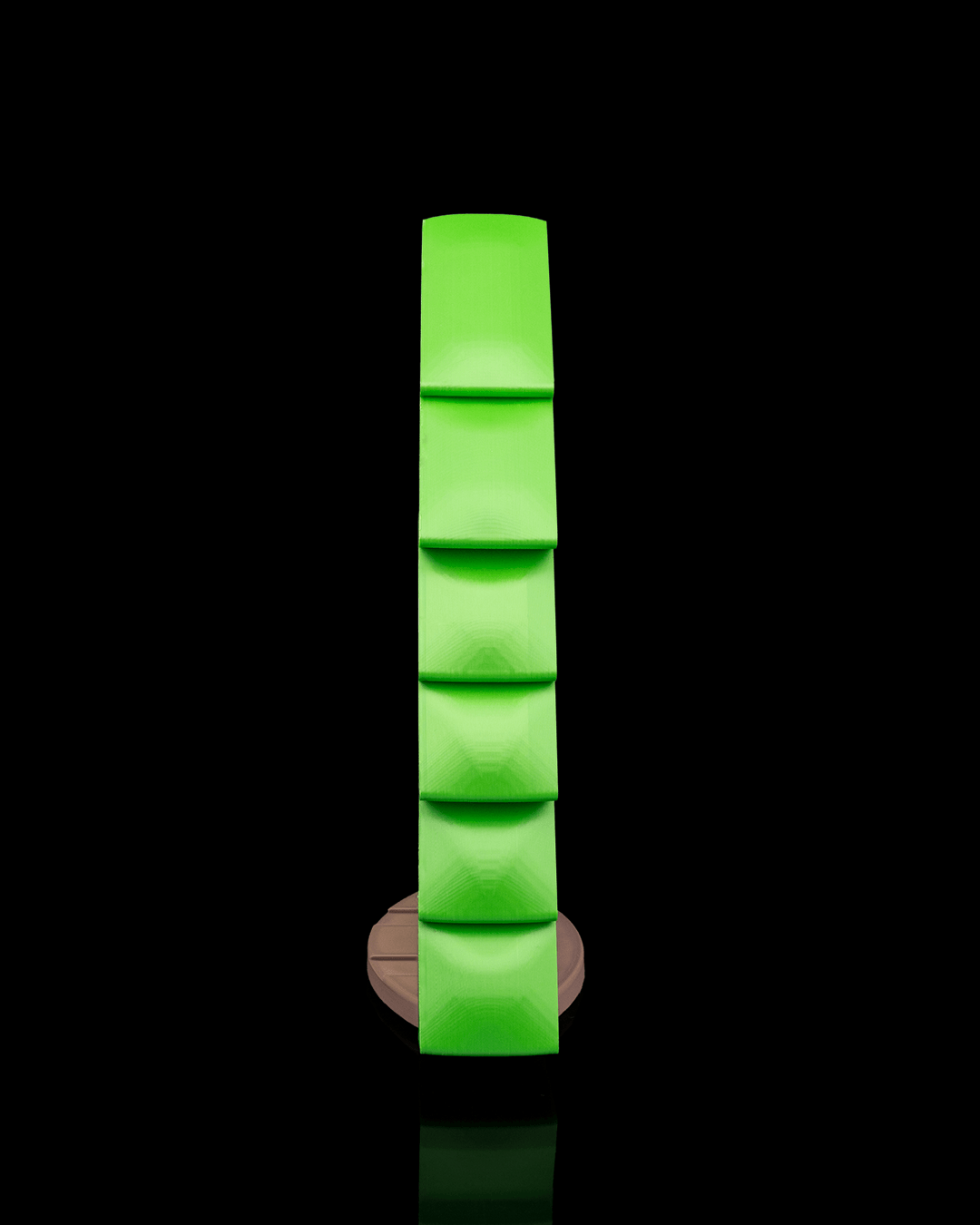 The_Anty_Tree_Display_4_51364a92b1.png