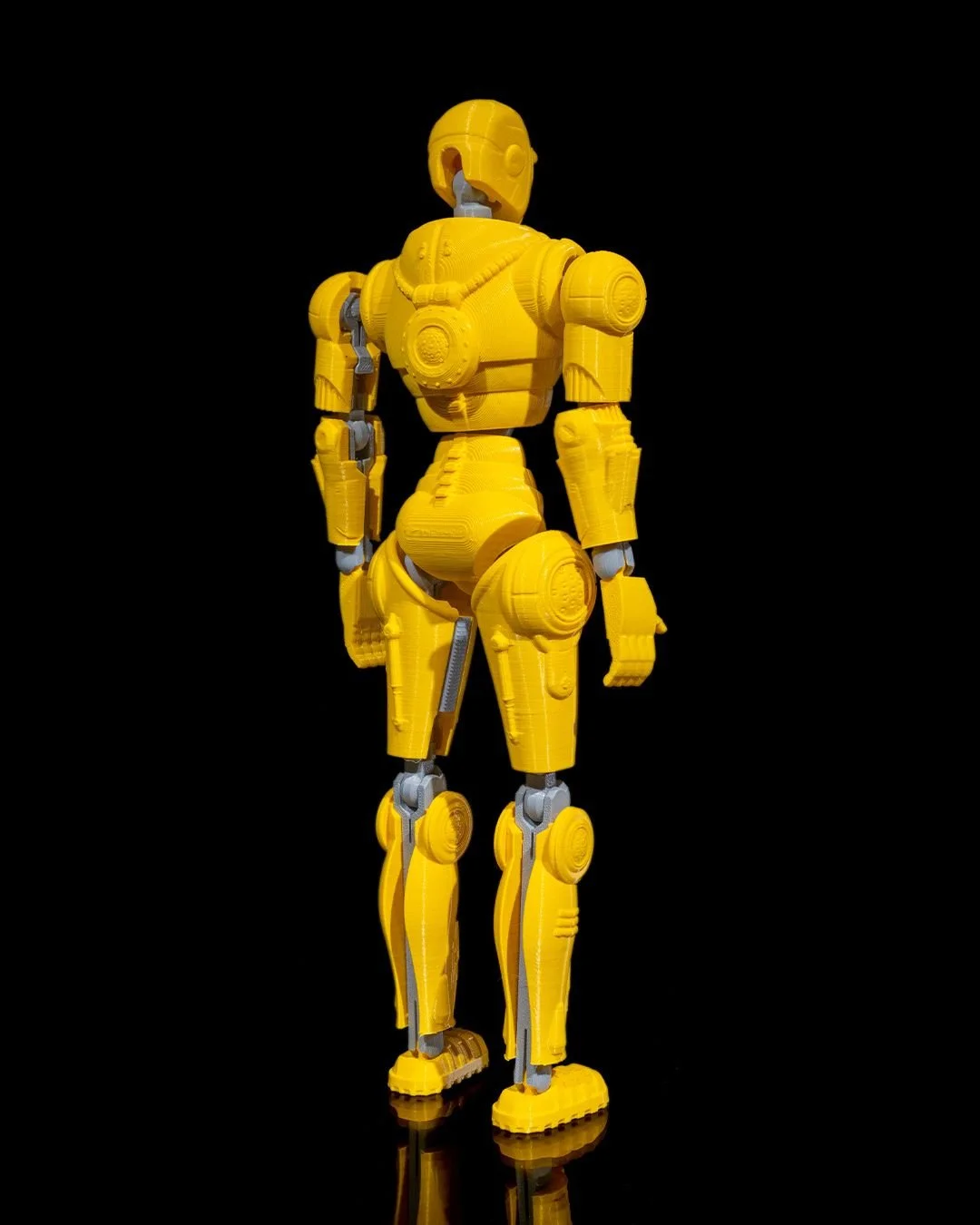 Rad_Free_Dummy_Tall_4_9bb232211a.jpg