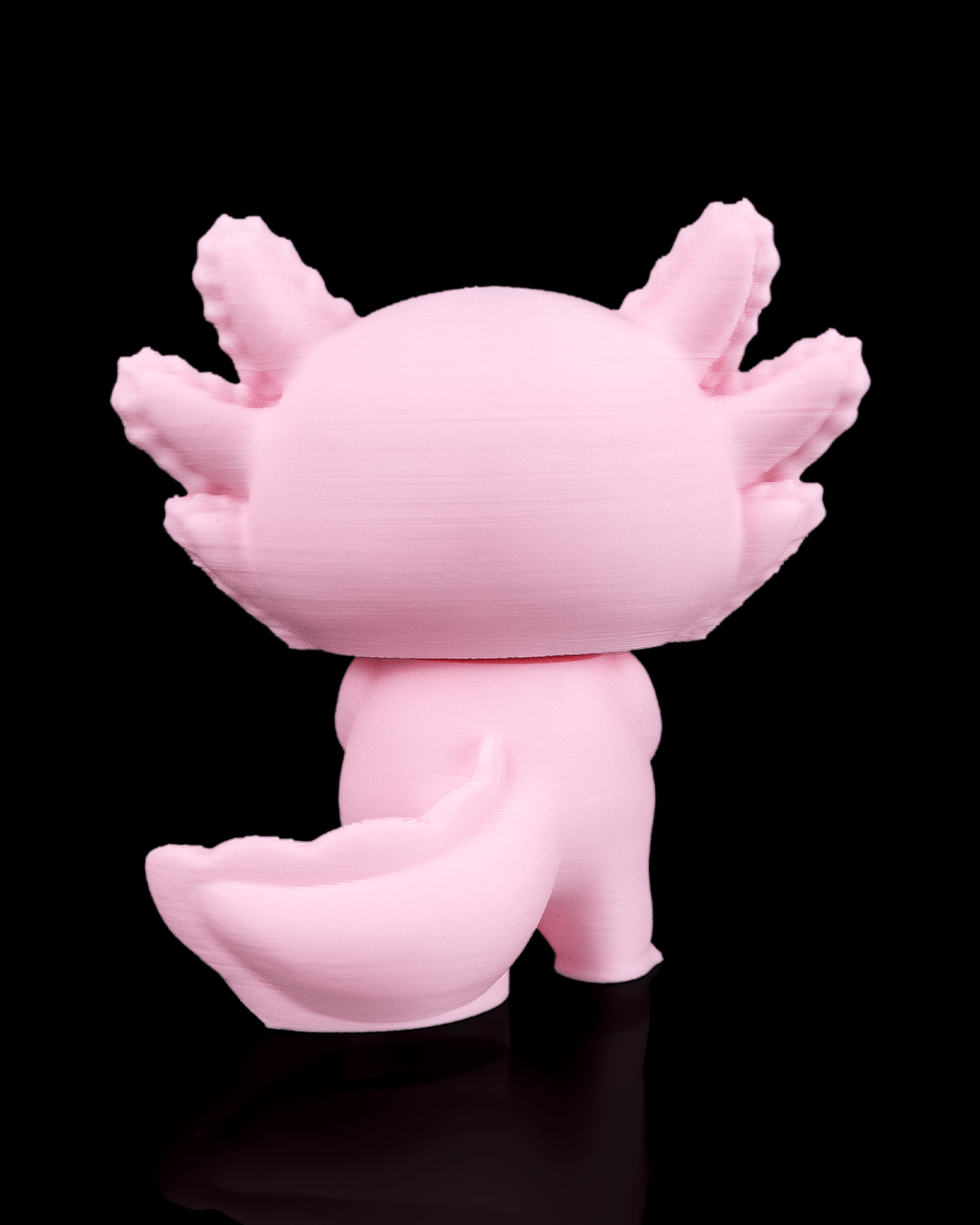 Heartfelt_Axolotl_4_4d45c99df3.png