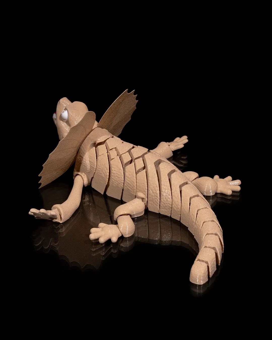 Frilled_Neck_Lizard5_4df58ff72d.jpg