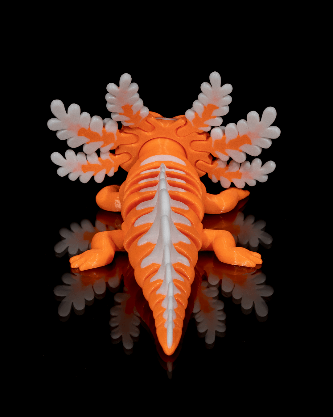 Dandy_Candy_5_f1d373ab84.png