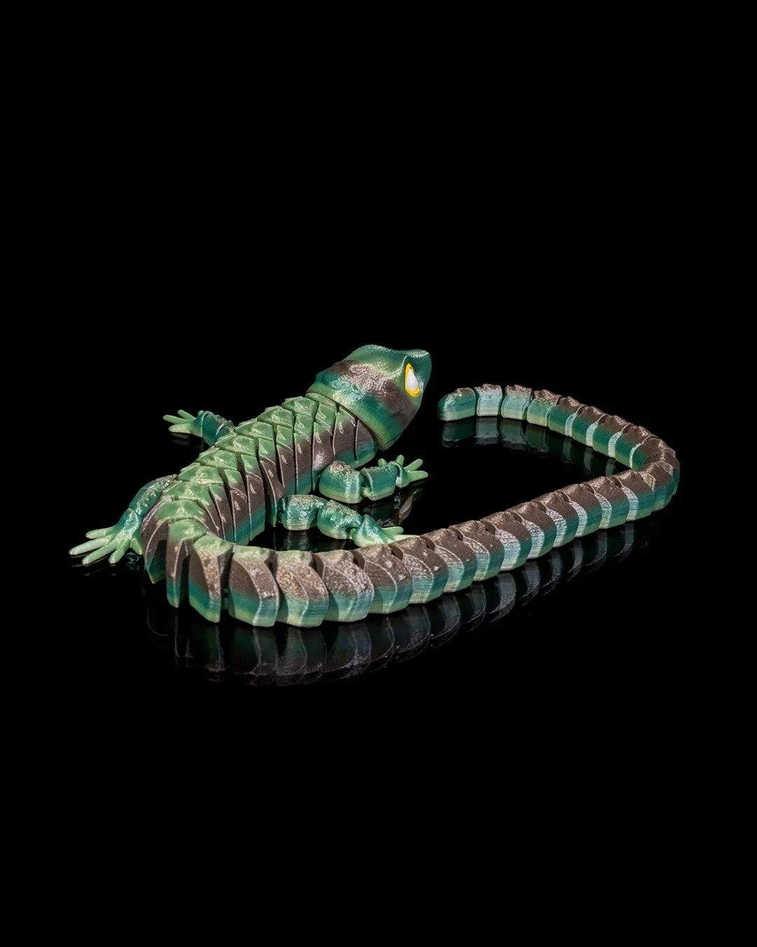 Abronia_6_68c9959bfc.jpg