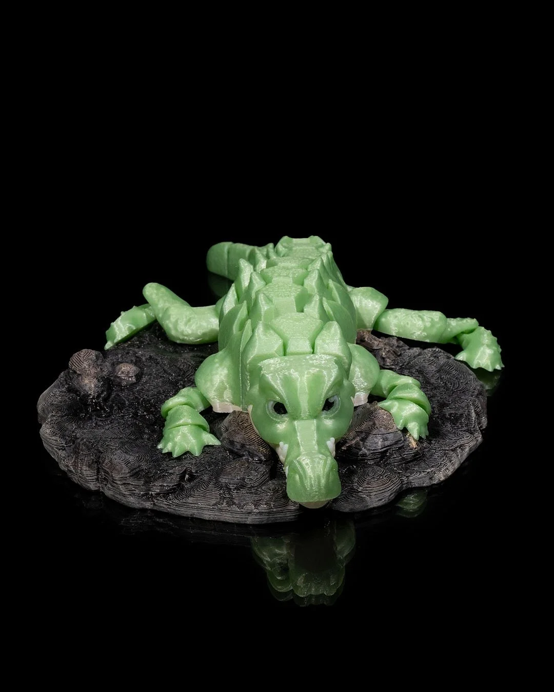 Alligator1_adc3f73cbe.jpg