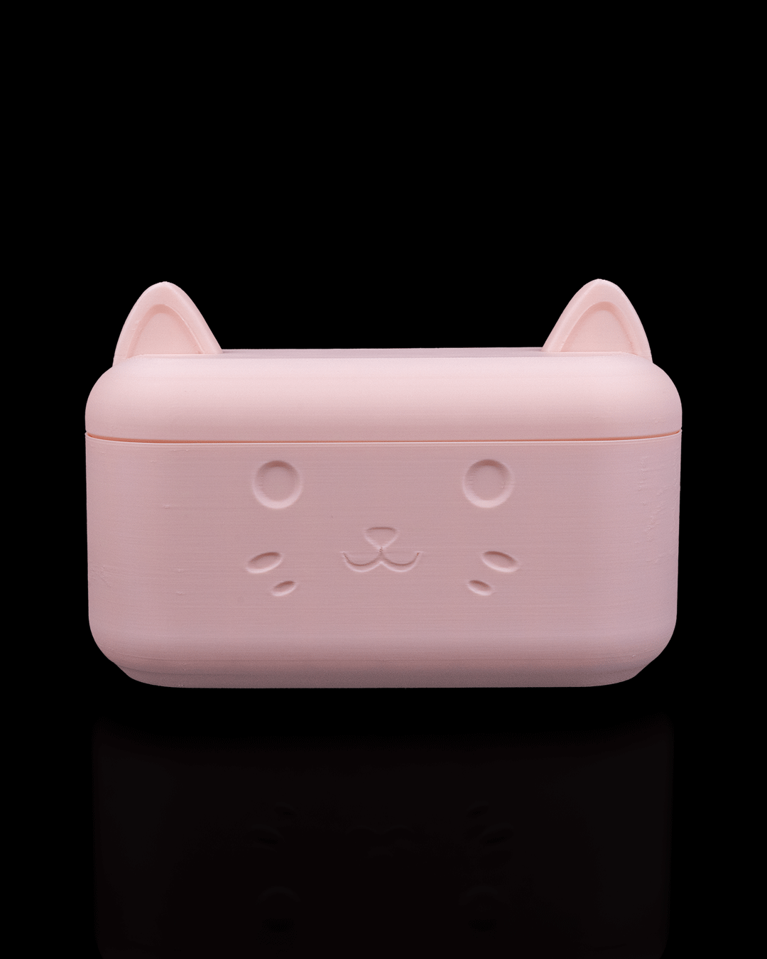 Clean_Kitty_Kit_6_1f28b432d9.png