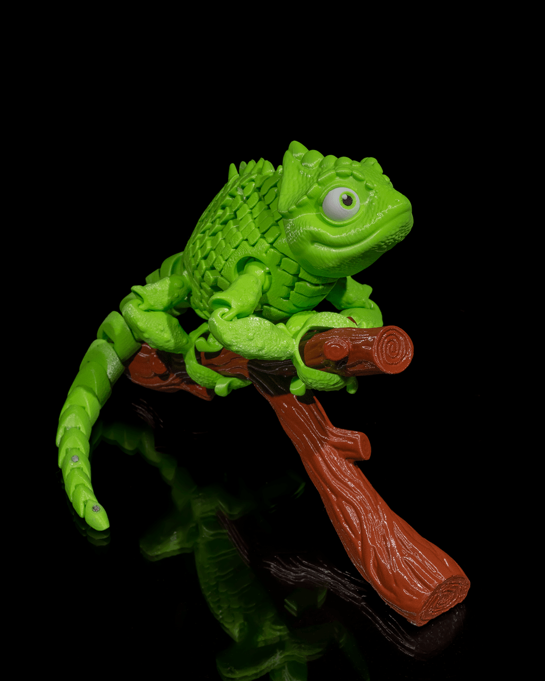 Chameleon_6_e37416876a.png