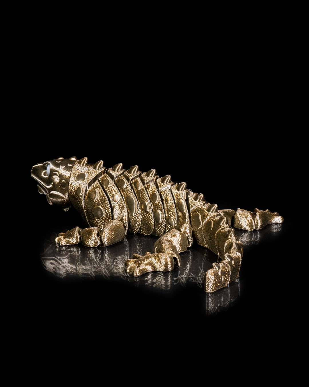 Iguana4_2945ed7436.jpg