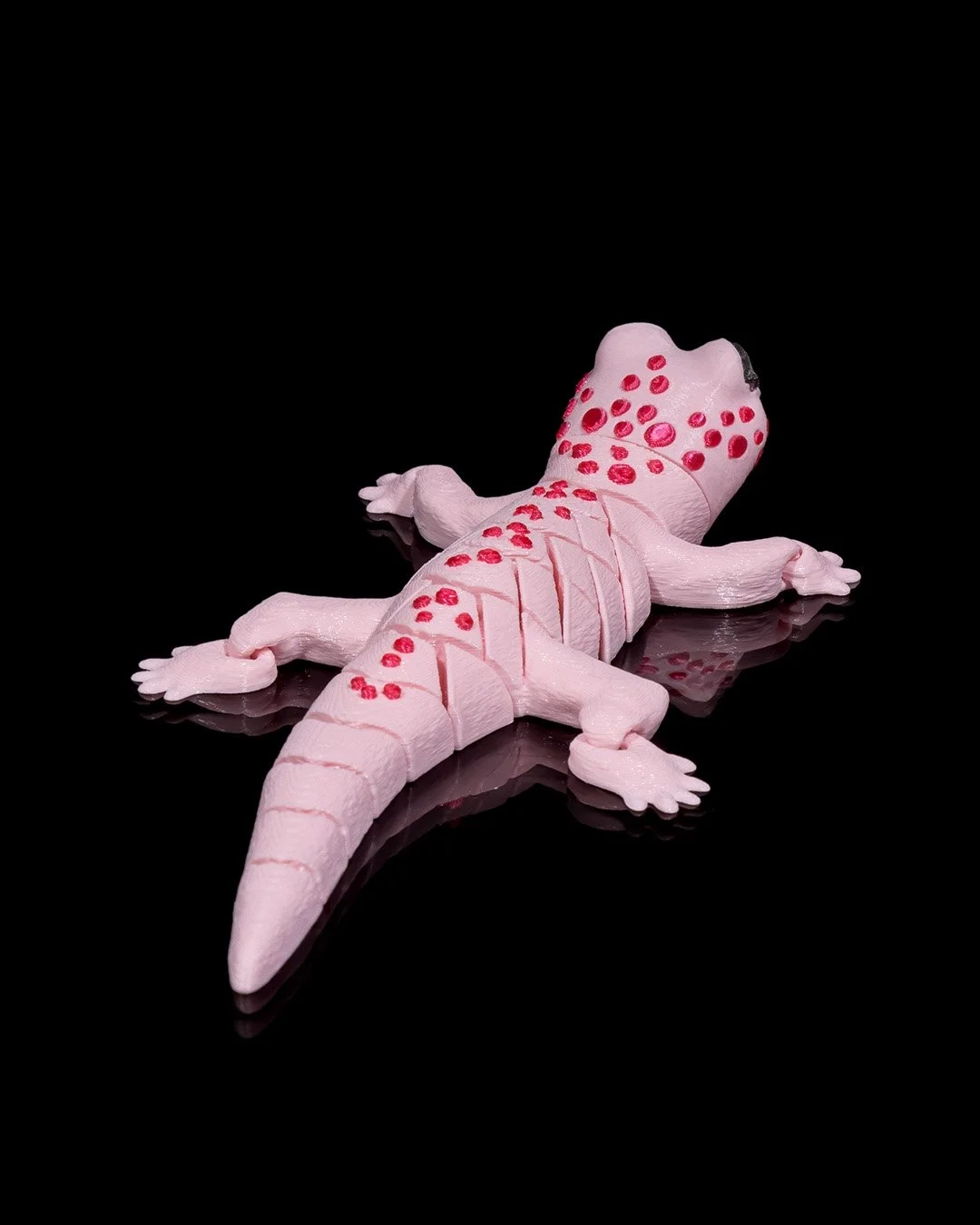 Gecko7_185b5c3acc.jpg