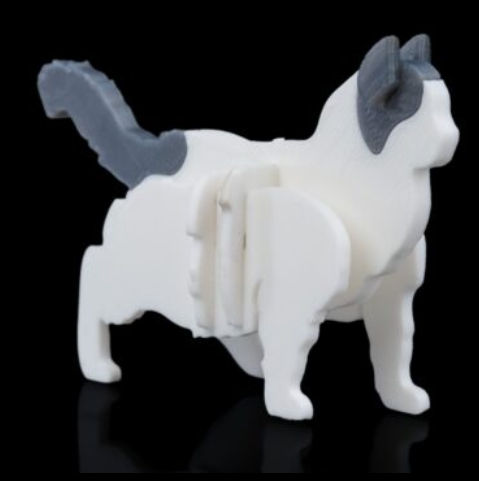 ragdoll-kit-2.png