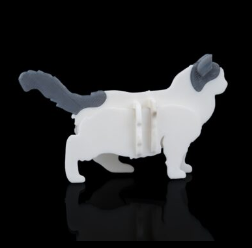 ragdoll-kit.png