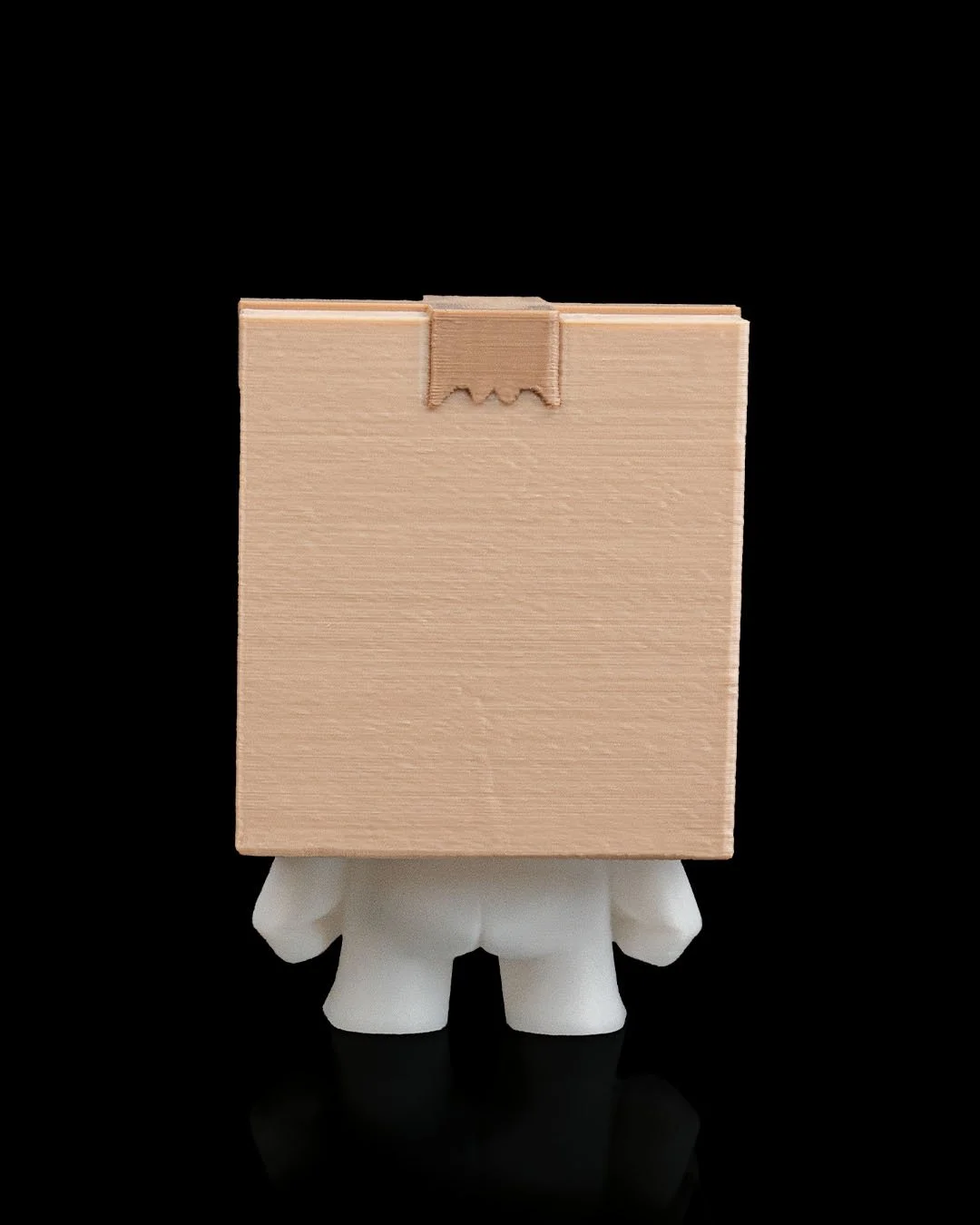 Anty_Fully_Boxed4_2ca968d50f.jpg