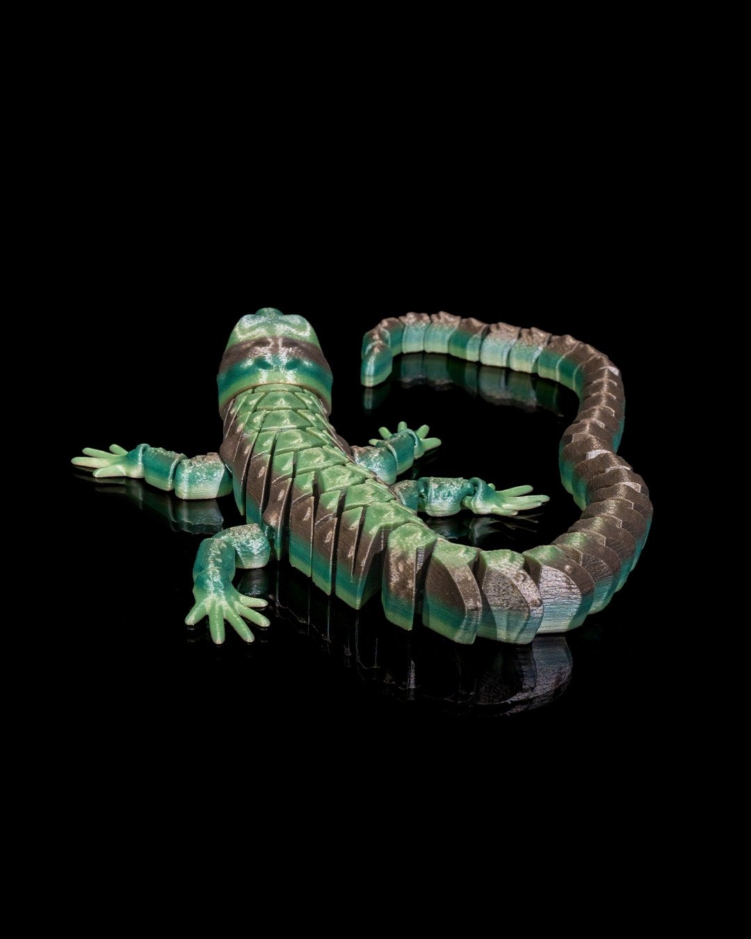 Abronia_7_336c697aeb.jpg
