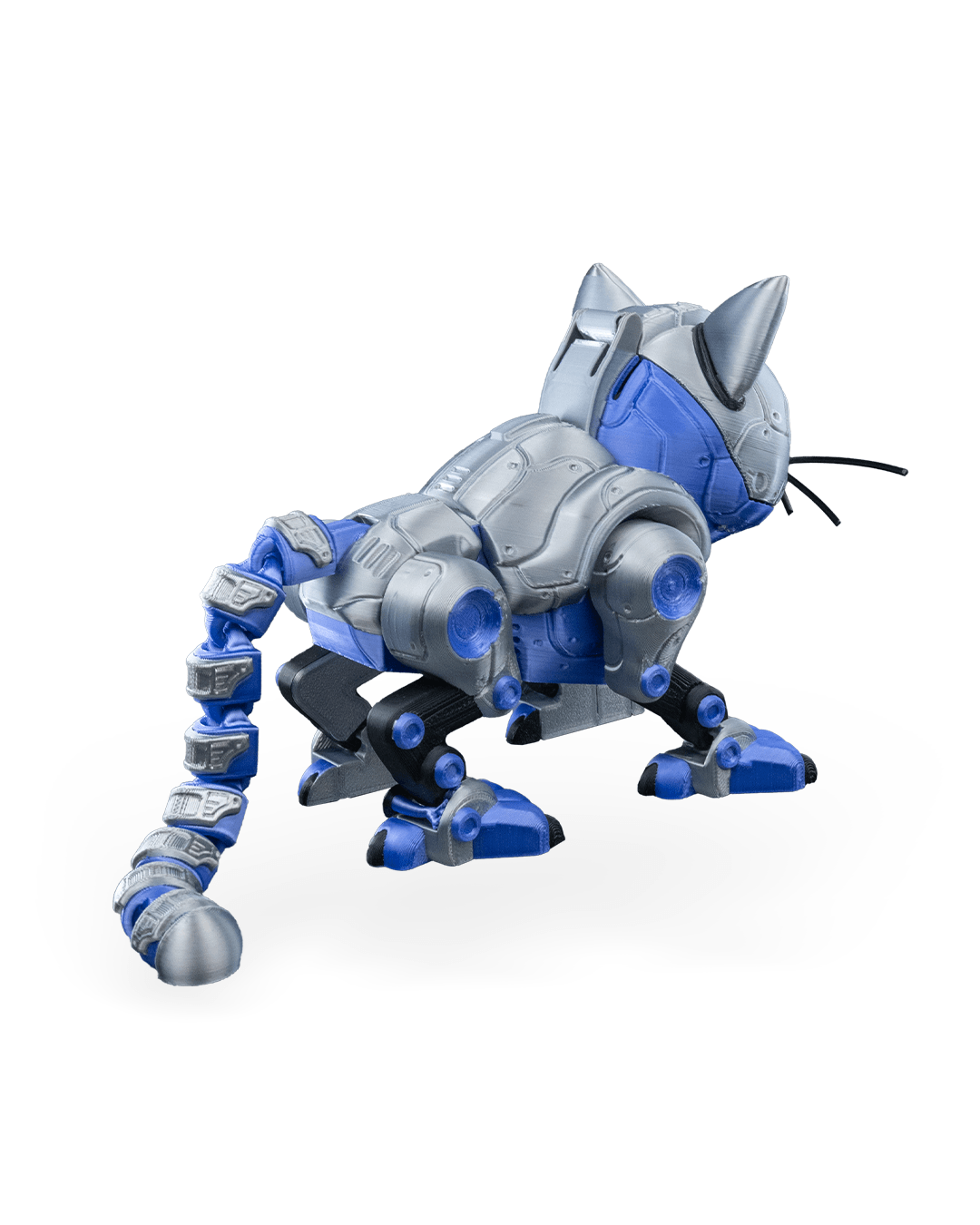 CATBOT_WB_7_847a09d59a.png