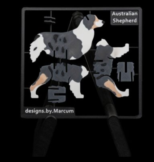australian-shepard-kit-3.png