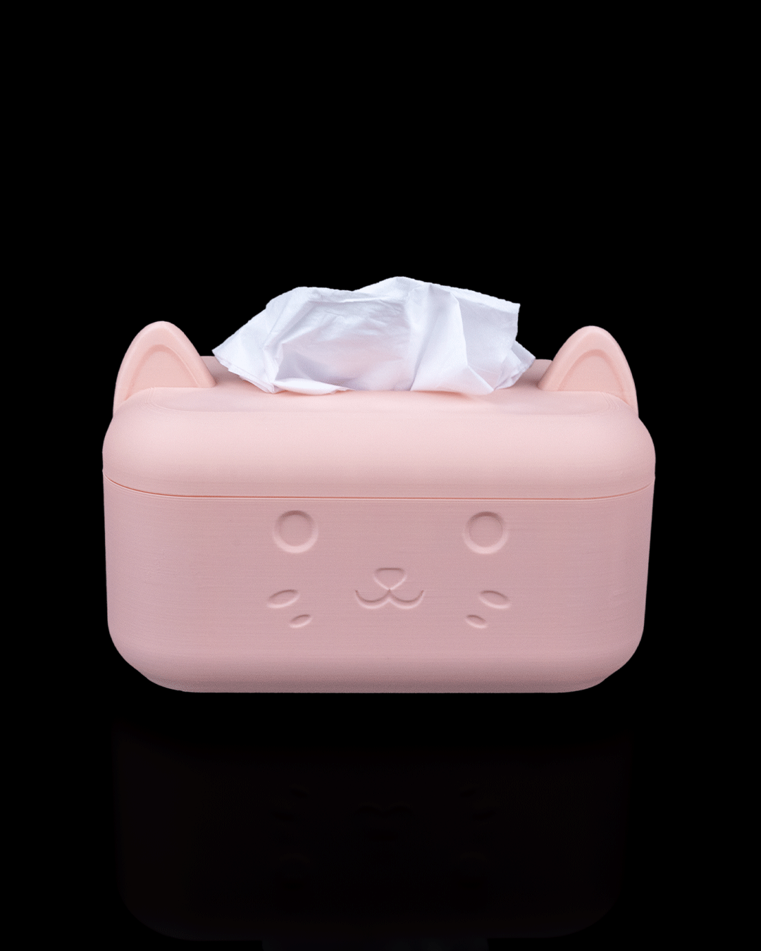 Clean_Kitty_Kit_4_aa43d01718.png