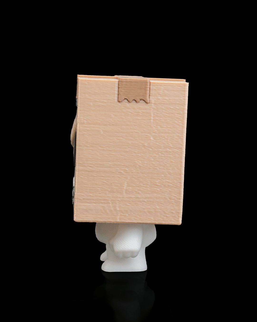 Anty_Fully_Boxed3_7baed3958f.jpg